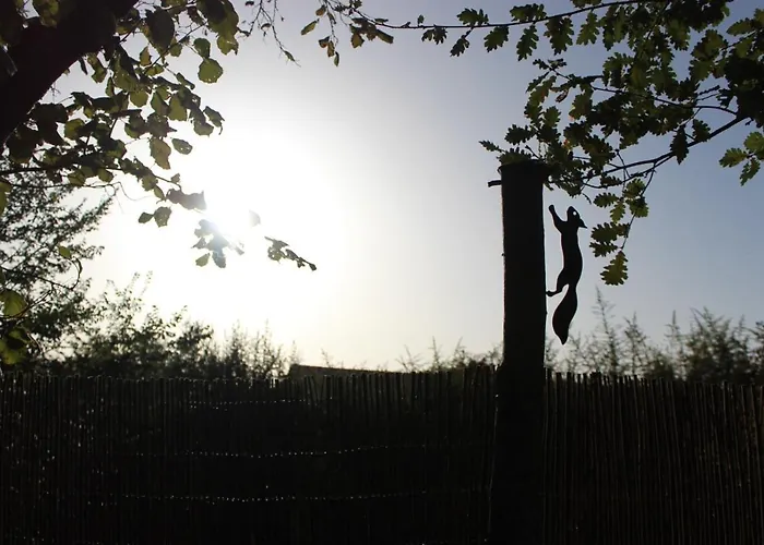 Сasa de vacaciones Confort, Charme&tranquilité