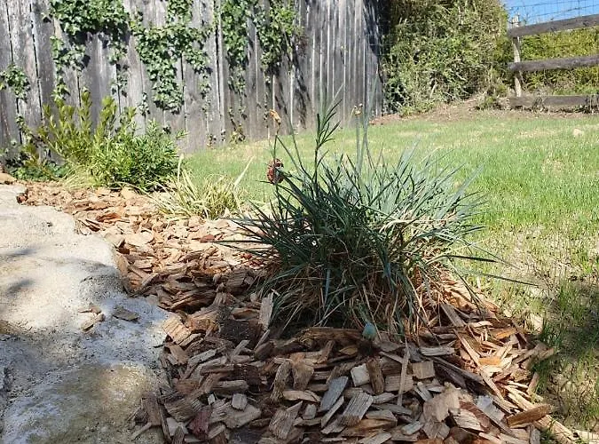 Confort, Charme&tranquilité * Beaumont (Vienne)